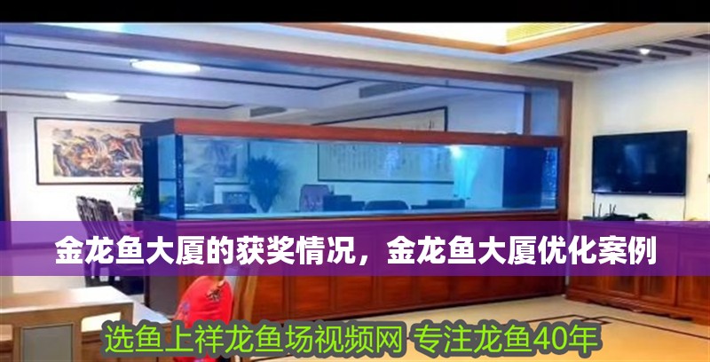 金龍魚(yú)大廈的獲獎(jiǎng)情況，金龍魚(yú)大廈優(yōu)化案例