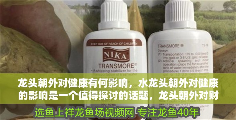 龍頭朝外對健康有何影響，水龍頭朝外對健康的影響是一個值得探討的話題，龍頭朝外對財運有何影響 龍頭朝外對健康有何影響，水龍頭朝外對健康的影響是一個值得探討的話題，龍頭朝外對財運有何影響 龍魚百科