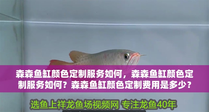 森森魚缸顏色定制服務如何，森森魚缸顏色定制服務如何？森森魚缸顏色定制費用是多少？