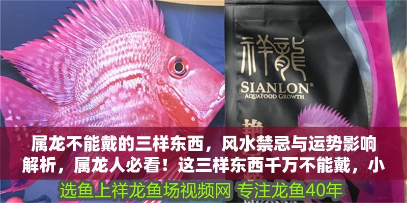 屬龍不能戴的三樣東西，風水禁忌與運勢影響解析，屬龍人必看！這三樣東西千萬不能戴，小心壞了風水影響運勢