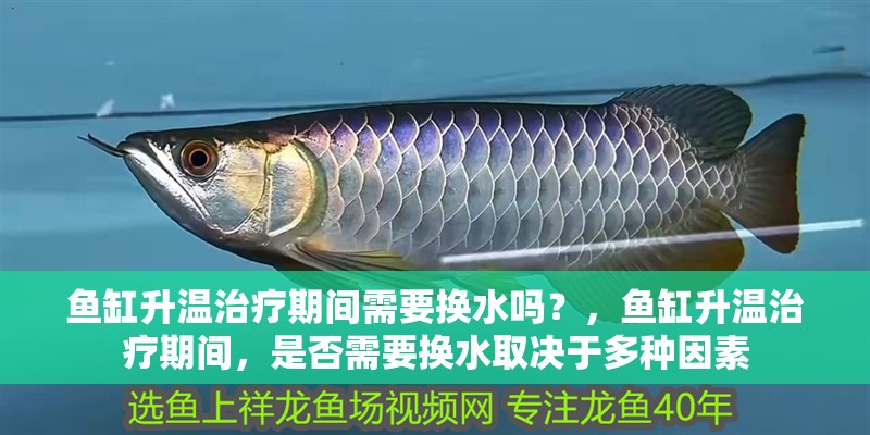 魚缸升溫治療期間需要換水嗎？，魚缸升溫治療期間，是否需要換水取決于多種因素 魚缸升溫治療期間需要換水嗎？，魚缸升溫治療期間，是否需要換水取決于多種因素 龍魚百科