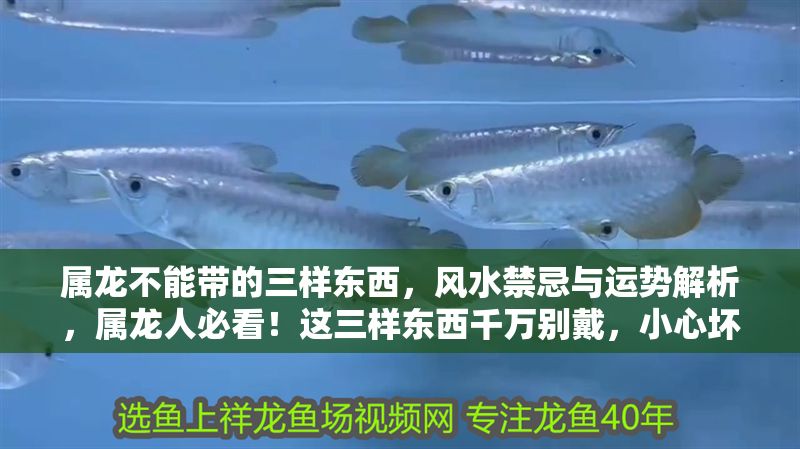 屬龍不能帶的三樣東西，風水禁忌與運勢解析，屬龍人必看！這三樣東西千萬別戴，小心壞了風水運勢 屬龍不能帶的三樣東西，風水禁忌與運勢解析，屬龍人必看！這三樣東西千萬別戴，小心壞了風水運勢 龍魚百科 第1張
