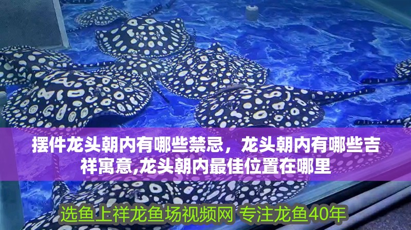 擺件龍頭朝內(nèi)有哪些禁忌，龍頭朝內(nèi)有哪些吉祥寓意,龍頭朝內(nèi)最佳位置在哪里