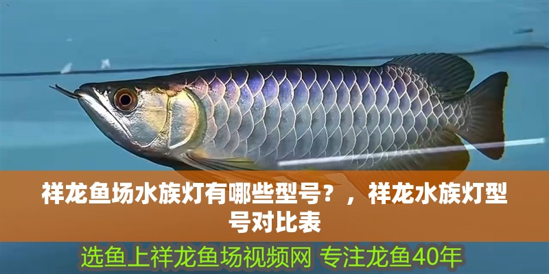 祥龍魚場水族燈有哪些型號?,祥龍水族燈型號對比表 龍魚百科 祥龍魚場水族燈有哪些型號?,祥龍水族燈型號對比表 祥龍魚場水族燈有哪些型號?,祥龍水族燈型號對比表 龍魚百科