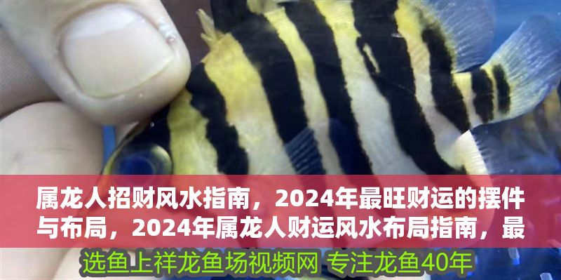 屬龍人招財(cái)風(fēng)水指南,2024年最旺財(cái)運(yùn)的擺件與布局,2024年屬龍人財(cái)運(yùn)風(fēng)水布局指南,最旺財(cái)擺件與家居招財(cái)秘訣 龍魚百科 第1張 屬龍人招財(cái)風(fēng)水指南,2024年最旺財(cái)運(yùn)的擺件與布局,2024年屬龍人財(cái)運(yùn)風(fēng)水布局指南,最旺財(cái)擺件與家居招財(cái)秘訣 屬龍人招財(cái)風(fēng)水指南,2024年最旺財(cái)運(yùn)的擺件與布局,2024年屬龍人財(cái)運(yùn)風(fēng)水布局指南,最旺財(cái)擺件與家居招財(cái)秘訣 龍魚百科 第1張