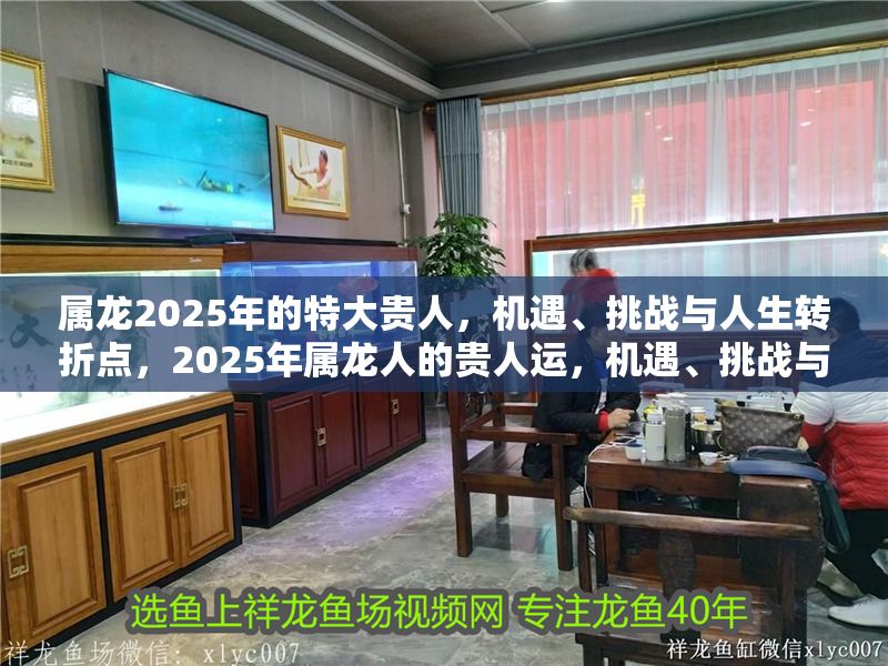 屬龍2025年的特大貴人，機遇、挑戰(zhàn)與人生轉(zhuǎn)折點，2025年屬龍人的貴人運，機遇、挑戰(zhàn)與人生轉(zhuǎn)折點全解析