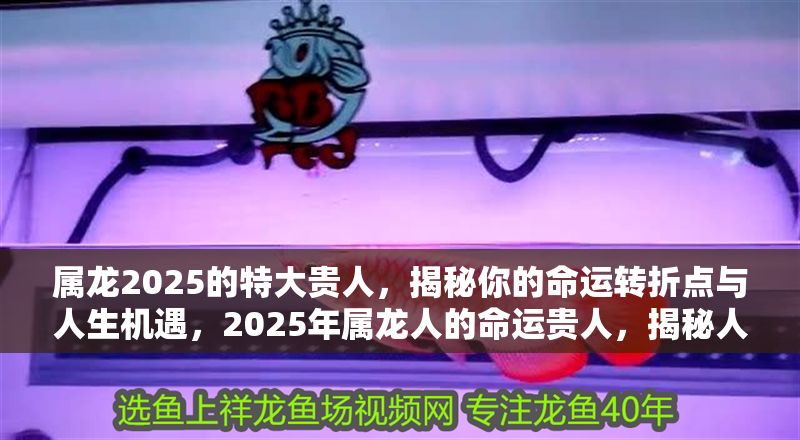 屬龍2025的特大貴人，揭秘你的命運(yùn)轉(zhuǎn)折點(diǎn)與人生機(jī)遇，2025年屬龍人的命運(yùn)貴人，揭秘人生轉(zhuǎn)折與重大機(jī)遇