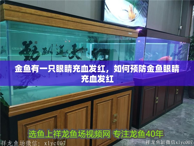 金魚有一只眼睛充血發紅，如何預防金魚眼睛充血發紅