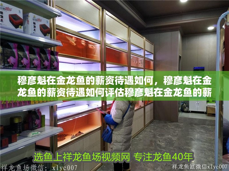 穆彥魁在金龍魚的薪資待遇如何，穆彥魁在金龍魚的薪資待遇如何評估穆彥魁在金龍魚的薪資待遇 穆彥魁在金龍魚的薪資待遇如何，穆彥魁在金龍魚的薪資待遇如何評估穆彥魁在金龍魚的薪資待遇 龍魚百科