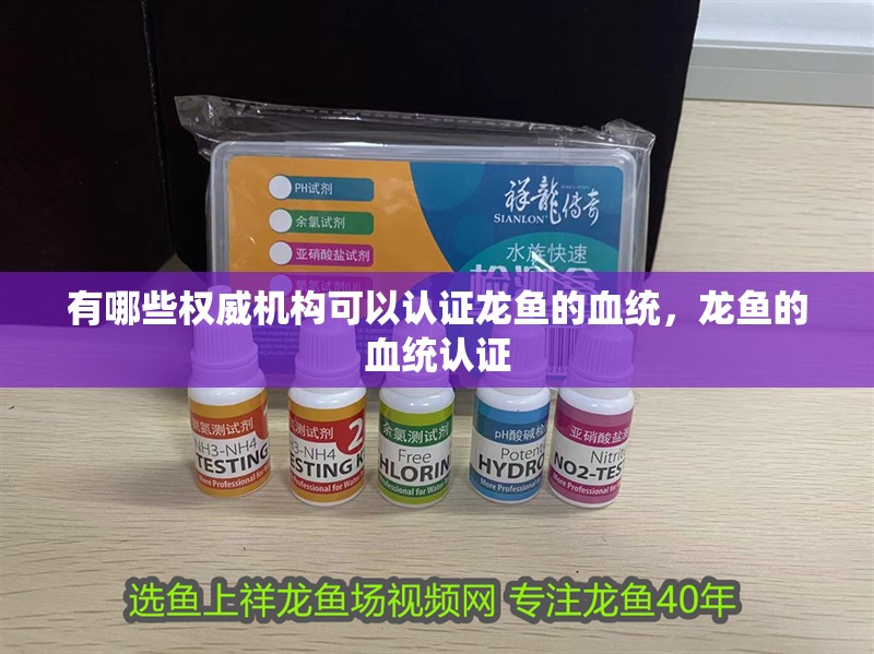 有哪些權威機構可以認證龍魚的血統，龍魚的血統認證