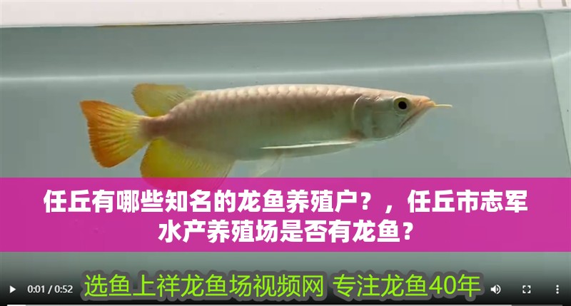 <strong><mark>任丘</mark></strong>有哪些知名的龍魚養殖戶？，<strong><mark>任丘</mark></strong>市志軍水產養殖場是否有龍魚？