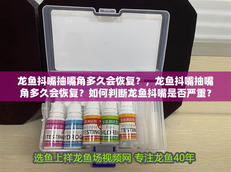 龍魚抖嘴抽嘴角多久會恢復(fù)？，龍魚抖嘴抽嘴角多久會恢復(fù)？如何判斷龍魚抖嘴是否嚴重？