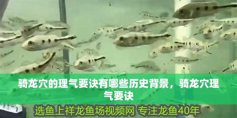 騎龍穴的理氣要訣有哪些歷史背景，騎龍穴理氣要訣