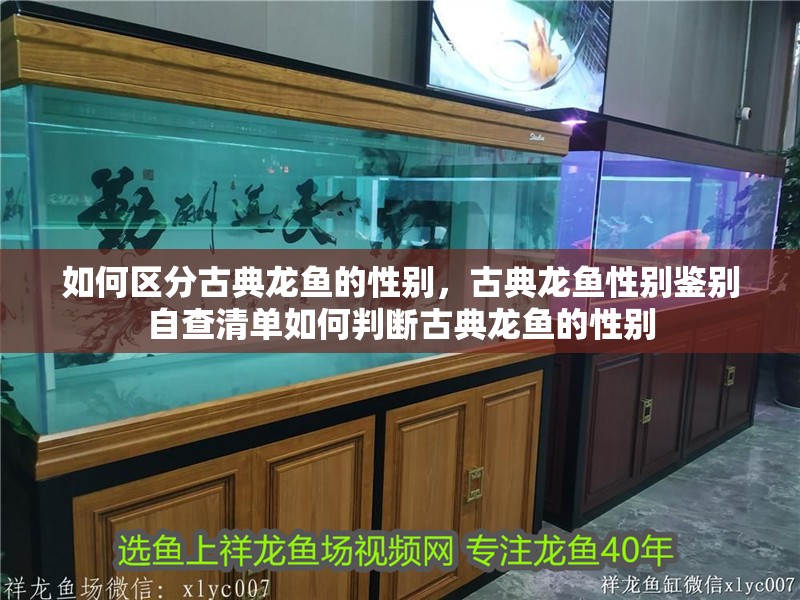 如何區(qū)分古典龍魚的性別，古典龍魚性別鑒別自查清單如何判斷古典龍魚的性別