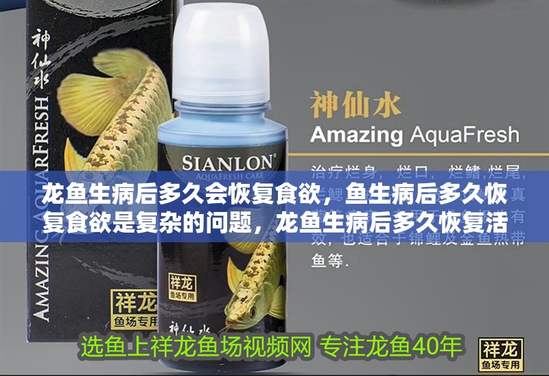 龍魚生病后多久會恢復食欲，魚生病后多久恢復食欲是復雜的問題，龍魚生病后多久恢復活力