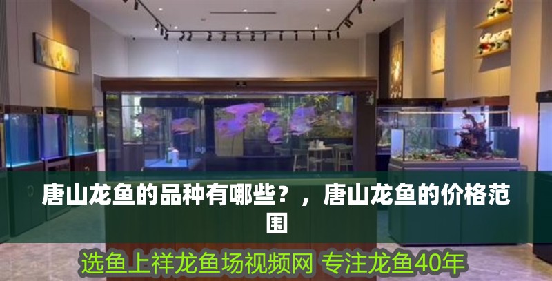 唐山龍魚的品種有哪些？，唐山龍魚的價格范圍