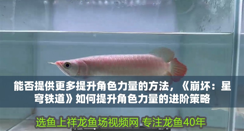 能否提供更多提升角色力量的方法，《崩壞：星穹鐵道》如何提升角色力量的進階策略