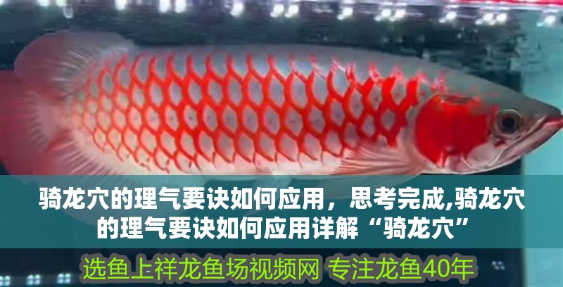 騎龍穴的理氣要訣如何應用，思考完成,騎龍穴的理氣要訣如何應用詳解“騎龍穴”