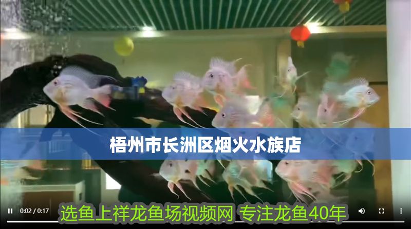 梧州市長洲區煙火水族店
