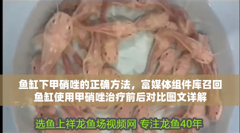 魚缸下甲硝唑的正確方法，富媒體組件庫召回魚缸使用甲硝唑治療前后對比圖文詳解