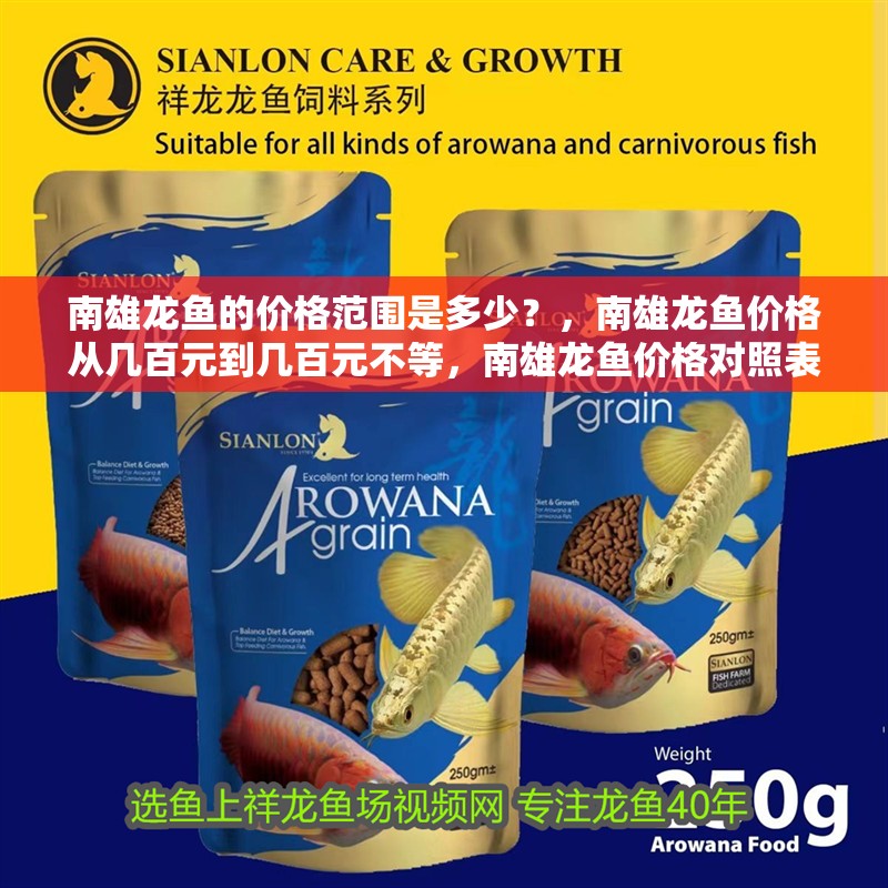 <strong><mark>南雄</mark></strong>龍魚的價(jià)格范圍是多少？，<strong><mark>南雄</mark></strong>龍魚價(jià)格從幾百元到幾百元不等，<strong><mark>南雄</mark></strong>龍魚價(jià)格對照表