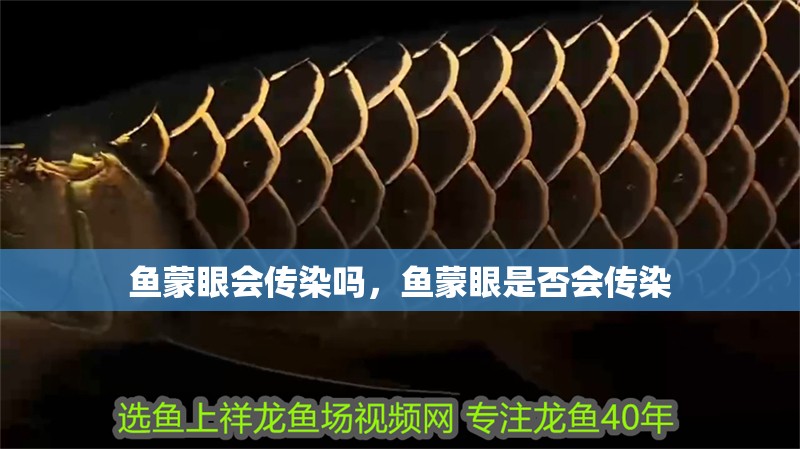 魚蒙眼會傳染嗎，魚蒙眼是否會傳染