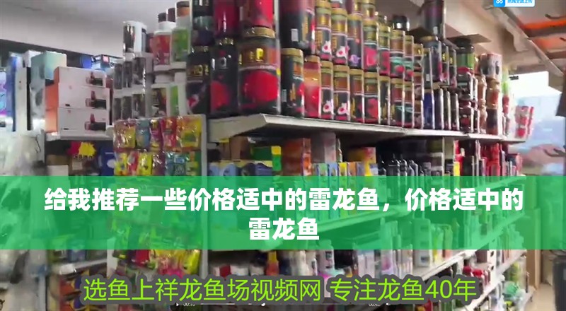 給我推薦一些價格適中的雷龍魚，價格適中的雷龍魚