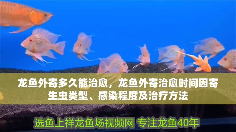 龍魚外寄多久能治愈，龍魚外寄治愈時間因寄生蟲類型、感染程度及治療方法