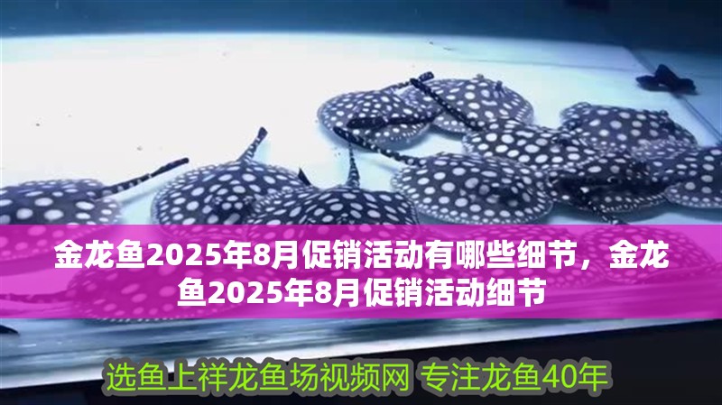 金龍魚2025年8月促銷活動有哪些細節，金龍魚2025年8月促銷活動細節