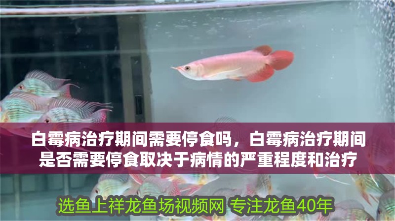 白霉病治療期間需要停食嗎，白霉病治療期間是否需要停食取決于病情的嚴(yán)重程度和治療