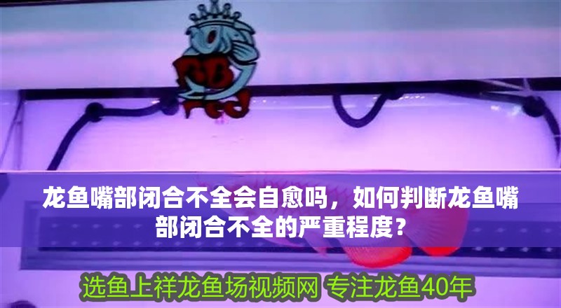 龍魚嘴部閉合不全會自愈嗎，如何判斷龍魚嘴部閉合不全的嚴重程度？