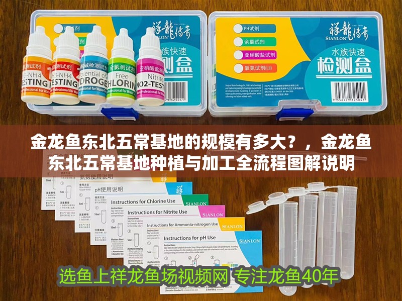 金龍魚(yú)東北<strong><mark>五常</mark></strong>基地的規(guī)模有多大？，金龍魚(yú)東北<strong><mark>五常</mark></strong>基地種植與加工全流程圖解說(shuō)明