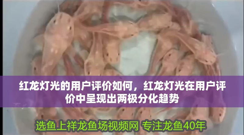 紅龍燈光的用戶評價如何，紅龍燈光在用戶評價中呈現出兩極分化趨勢