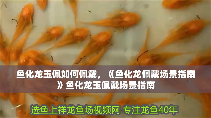 魚化龍玉佩如何佩戴，《魚化龍佩戴場景指南》魚化龍玉佩戴場景指南