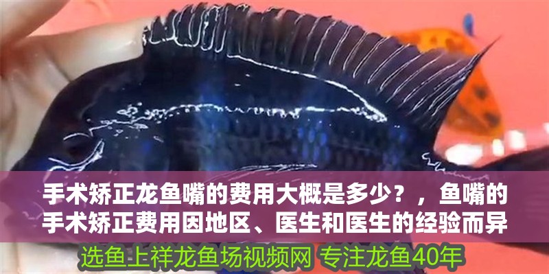 手術(shù)矯正龍魚嘴的費用大概是多少？，魚嘴的手術(shù)矯正費用因地區(qū)、醫(yī)生和醫(yī)生的經(jīng)驗而異 手術(shù)矯正龍魚嘴的費用大概是多少？，魚嘴的手術(shù)矯正費用因地區(qū)、醫(yī)生和醫(yī)生的經(jīng)驗而異 龍魚百科