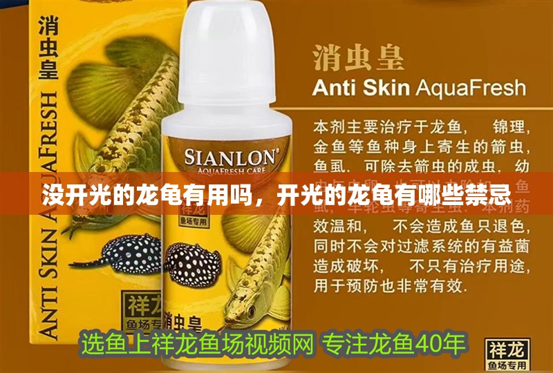 沒開光的龍龜有用嗎，開光的龍龜有哪些禁忌