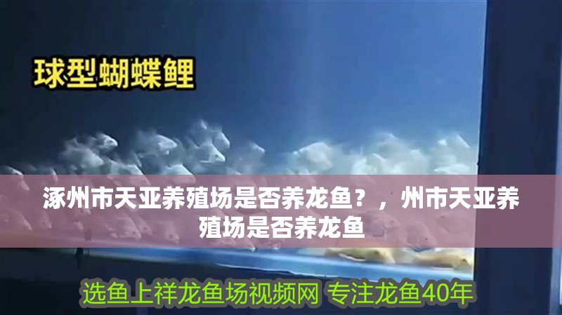 <strong><mark>涿州</mark></strong>市天亞養(yǎng)殖場是否養(yǎng)龍魚？，州市天亞養(yǎng)殖場是否養(yǎng)龍魚