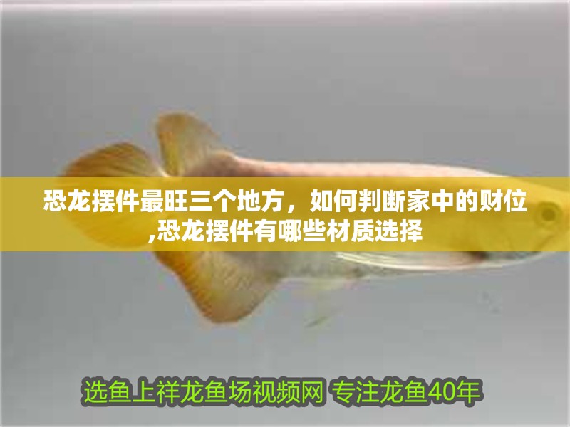 恐龍擺件最旺三個地方，如何判斷家中的財位,恐龍擺件有哪些材質選擇 恐龍擺件最旺三個地方，如何判斷家中的財位,恐龍擺件有哪些材質選擇 龍魚百科