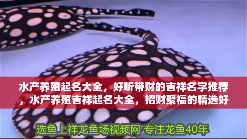 水產養殖起名大全，好聽帶財的吉祥名字推薦，水產養殖吉祥起名大全，招財聚福的精選好名推薦 水產養殖起名大全，好聽帶財的吉祥名字推薦，水產養殖吉祥起名大全，招財聚福的精選好名推薦 龍魚百科 第1張