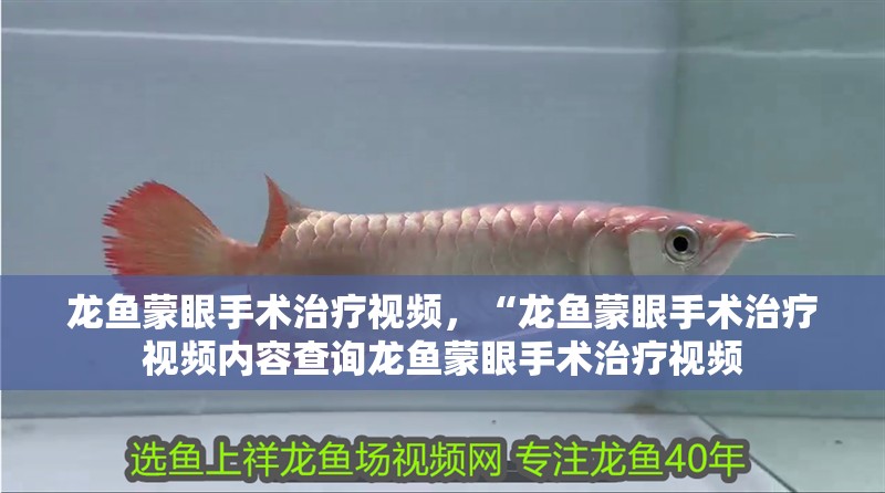 龍魚蒙眼手術治療視頻，“龍魚蒙眼手術治療視頻內容查詢龍魚蒙眼手術治療視頻