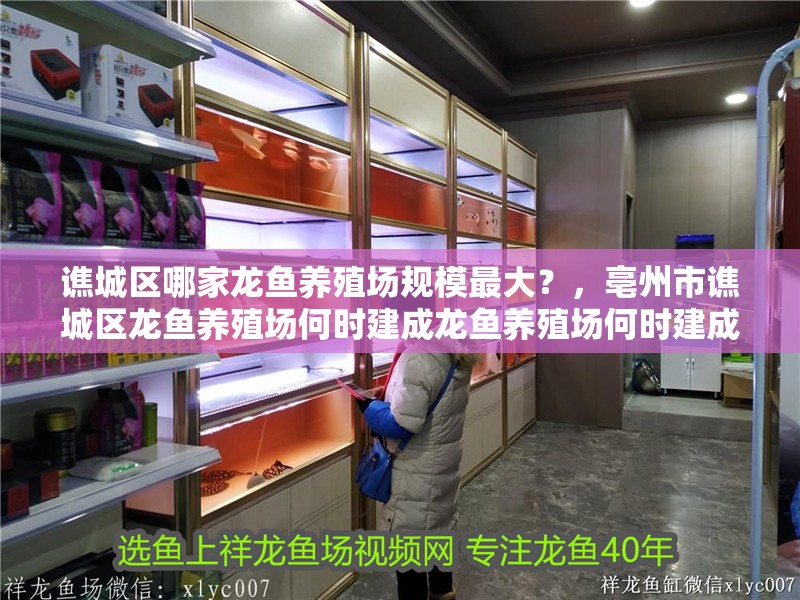 譙城區(qū)哪家龍魚養(yǎng)殖場規(guī)模最大？，亳州市譙城區(qū)龍魚養(yǎng)殖場何時(shí)建成龍魚養(yǎng)殖場何時(shí)建成 譙城區(qū)哪家龍魚養(yǎng)殖場規(guī)模最大？，亳州市譙城區(qū)龍魚養(yǎng)殖場何時(shí)建成龍魚養(yǎng)殖場何時(shí)建成 龍魚百科
