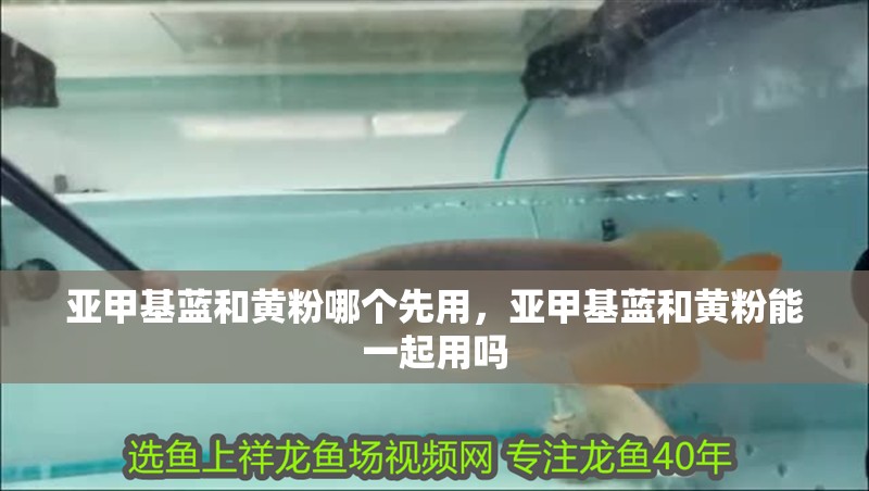 亞甲基藍和黃粉哪個先用，亞甲基藍和黃粉能一起用嗎