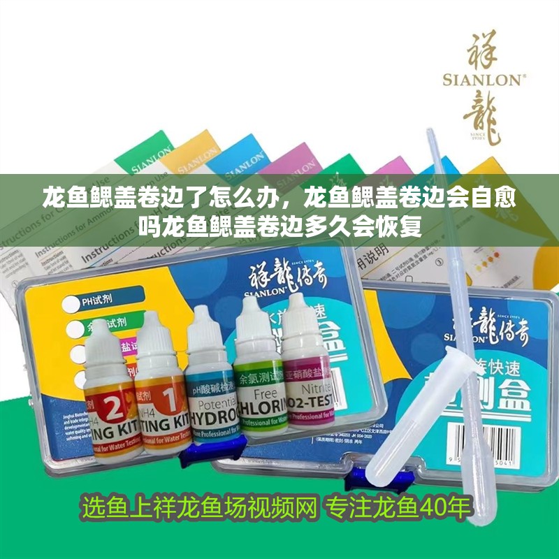 龍魚鰓蓋卷邊了怎么辦，龍魚鰓蓋卷邊會(huì)自愈嗎龍魚鰓蓋卷邊多久會(huì)恢復(fù)