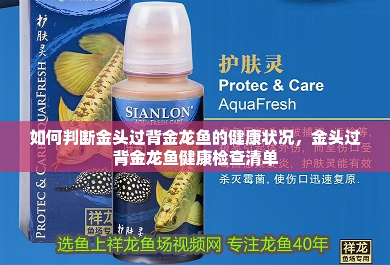 如何判斷金頭過(guò)背金龍魚的健康狀況，金頭過(guò)背金龍魚健康檢查清單
