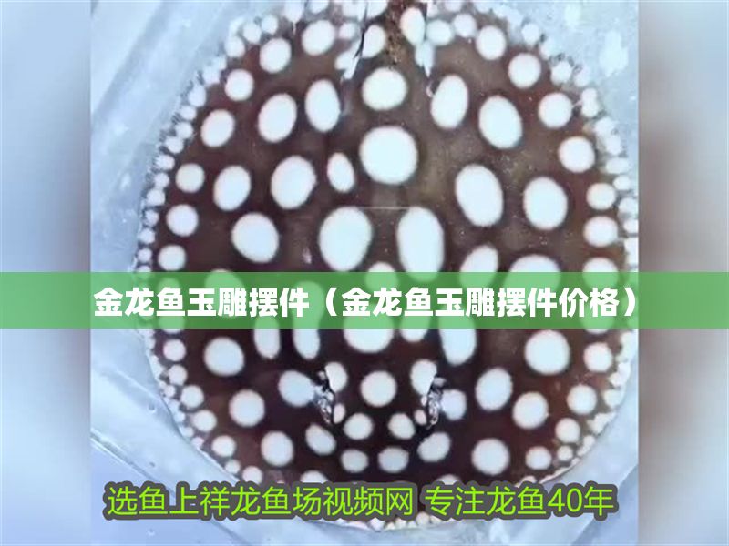 金龍魚(yú)玉雕擺件（金龍魚(yú)玉雕擺件價(jià)格）