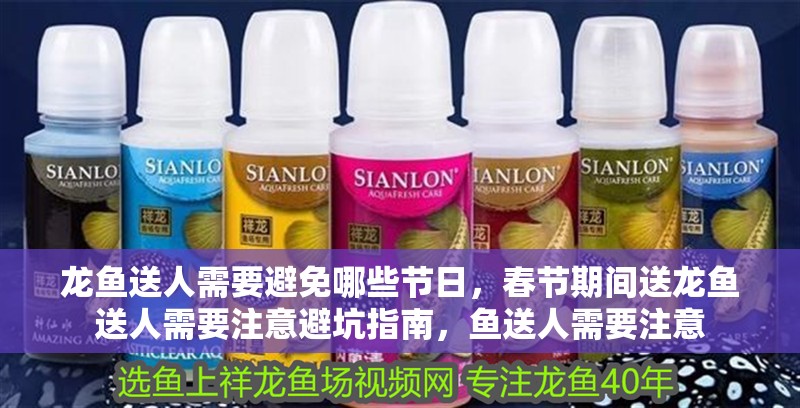 龍魚(yú)送人需要避免哪些節(jié)日，春節(jié)期間送龍魚(yú)送人需要注意避坑指南，魚(yú)送人需要注意