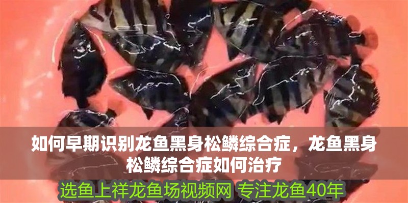 如何早期識別龍魚黑身松鱗綜合癥，龍魚黑身松鱗綜合癥如何治療