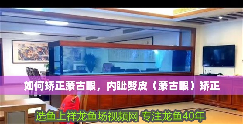 如何矯正蒙古眼，內(nèi)眥贅皮（蒙古眼）矯正 如何矯正蒙古眼，內(nèi)眥贅皮（蒙古眼）矯正 龍魚百科