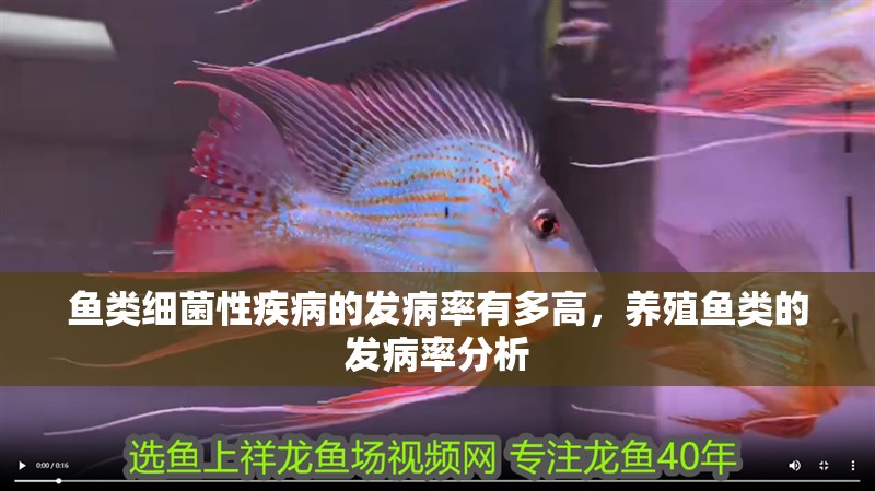 魚類細菌性疾病的發病率有多高，養殖魚類的發病率分析