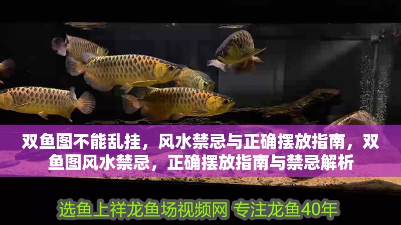 雙魚圖不能亂掛，風(fēng)水禁忌與正確擺放指南，雙魚圖風(fēng)水禁忌，正確擺放指南與禁忌解析